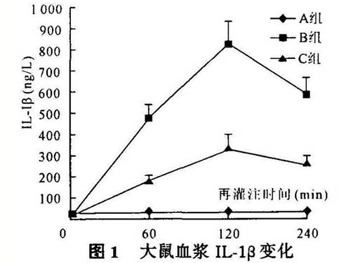 白细胞介素-1介导骨骼肌缺血再灌注损伤的