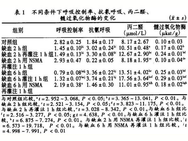 线粒体功能与骨骼肌缺血再灌注损伤的关系