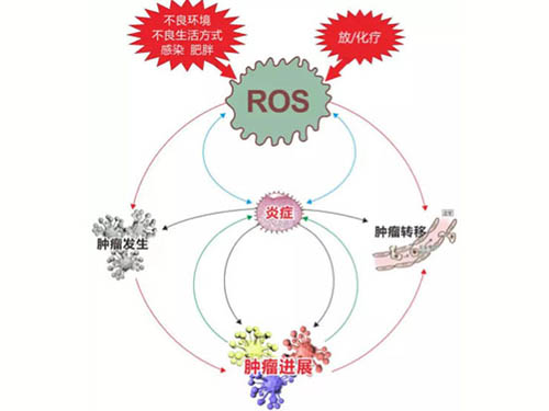 炎症和氧化应激