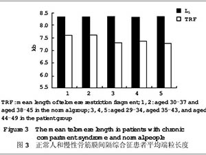 端粒长度与腰骶部慢性骨筋膜间隔综合征