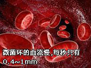 血液流变研究与人体健康
