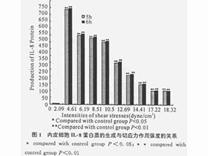 流体切应力作用强度对内皮细胞IL-8生成