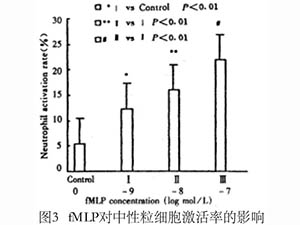 中性粒细胞激活及其与内皮细胞粘附的关系